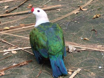 2009_0220feb200007 2.jpg