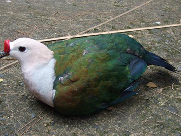 2009_0220feb200008 2.jpg