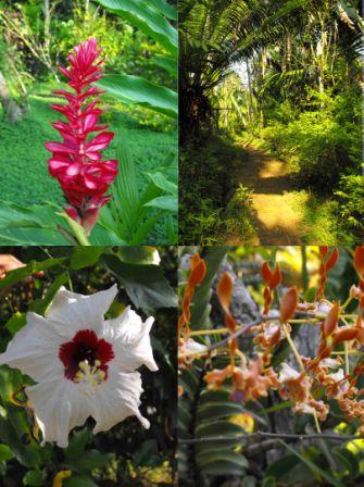 Hobe village Madang.jpg1.jpg