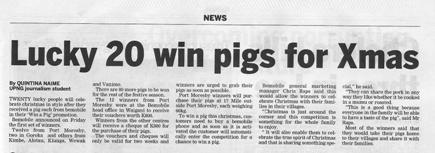 Pig Win Promotion2S.jpg