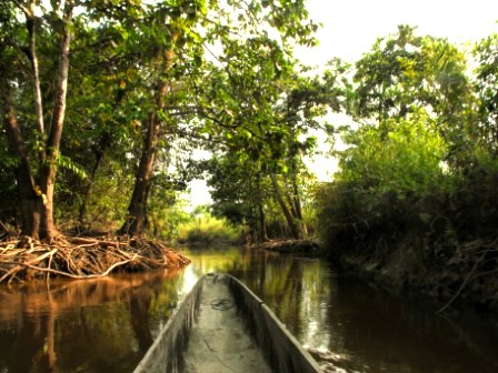 Sepik canoe safari image.jpg