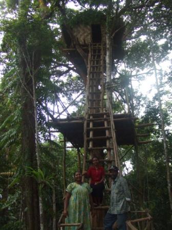 Varirata Tree House web.jpg