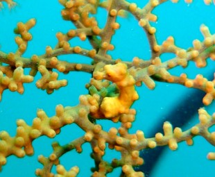 P1000690.JPG P1000690.JPG