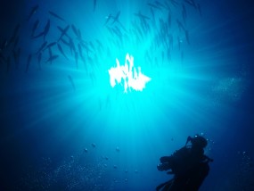 P9040163.JPG P9040163.JPG