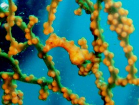 P9050072.JPG P9050072.JPG