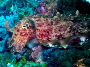 pic010.JPG pic010.JPG