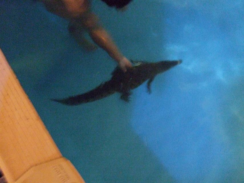 2008_1111WALINDI0007 2.JPG