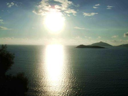 png new year  web.jpg